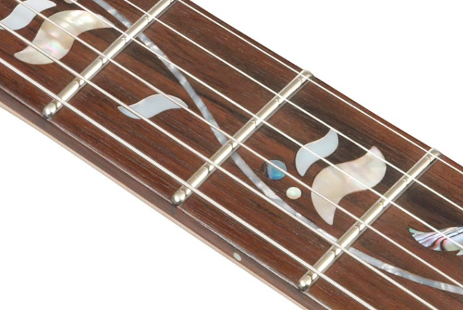 Ibanez Rg8570 Bsr J.custom Jap Hsh Dimarzio Fr Rw - Brownish Sphalerite - Elektrische gitaar in Strat vorm - Variation 4