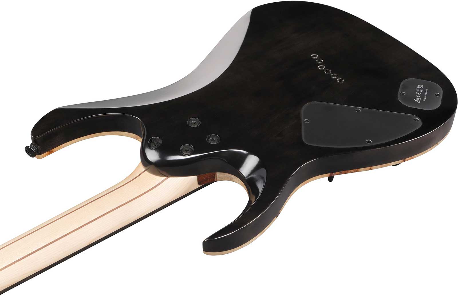 Ibanez Rga21p1pb Drl Premium 2h Dimarzio Ht Eb - Deep Twilight Burst - Elektrische gitaar in Strat vorm - Variation 3