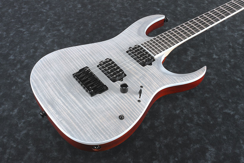 Ibanez Iron Label Rgaix6fm Wff Hh Dimarzio Ht Eb - White Frost Flat - Elektrische gitaar in Str-vorm - Variation 1