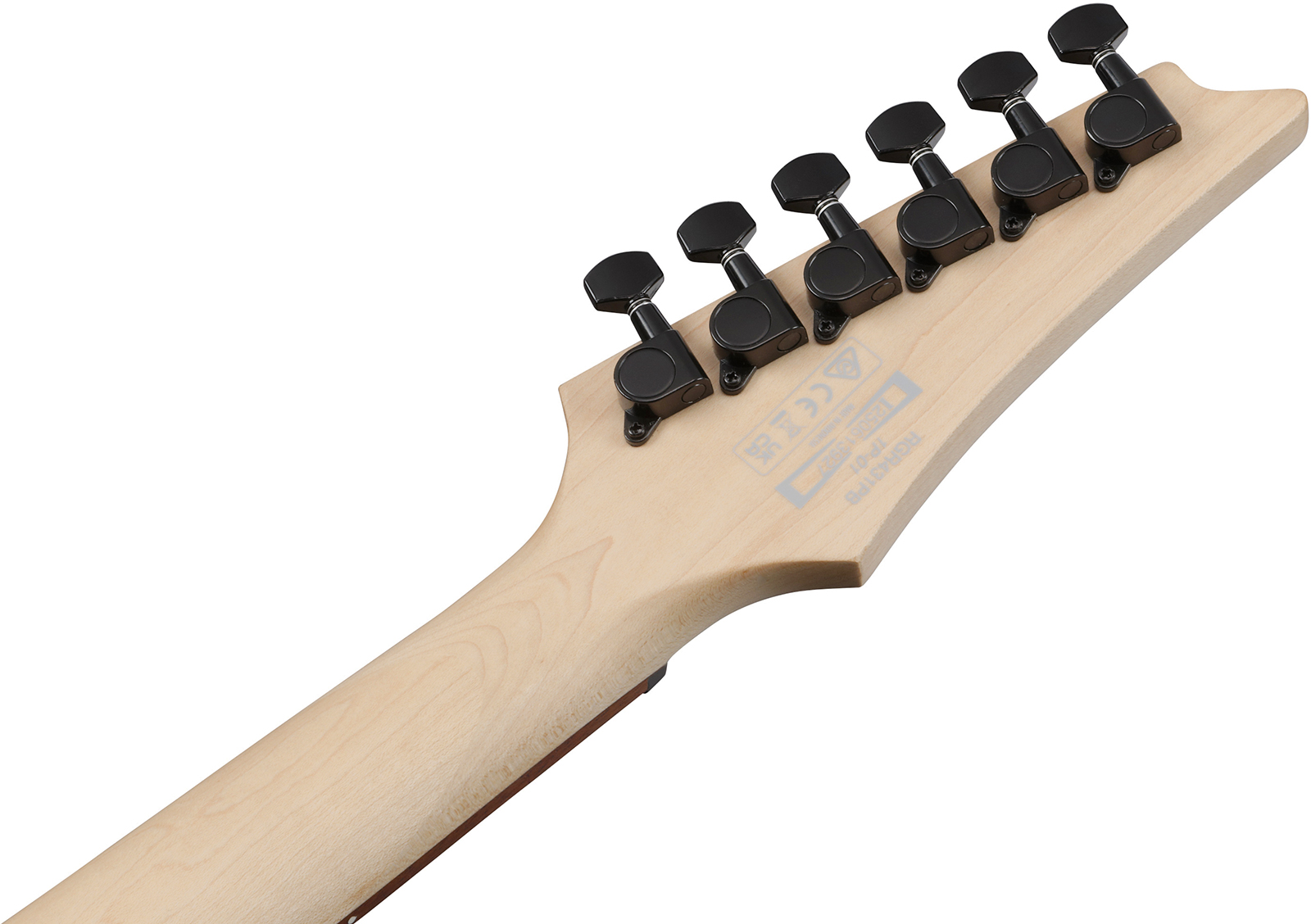 Ibanez Rgr431pb Cgf Standard 2h Ht Jat - Charcoal Gray Flat - Elektrische gitaar in Strat vorm - Variation 5