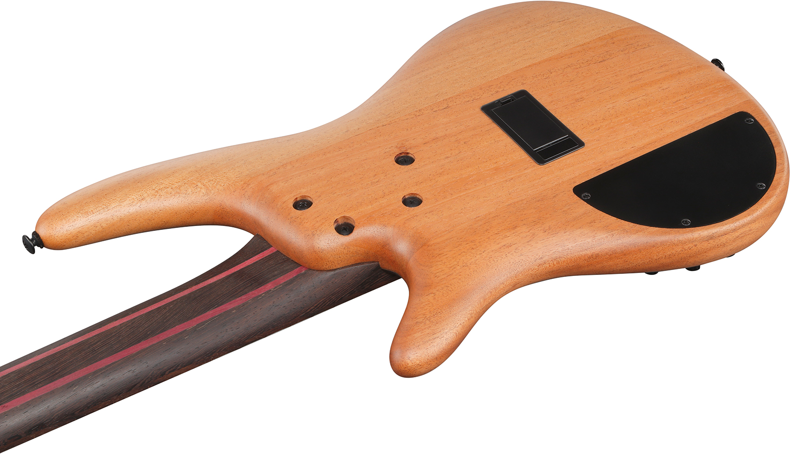 Ibanez Sr1455dw Tgf Premium 5c Active Rw - Transparent Gray Flat - Solid body elektrische bas - Variation 3