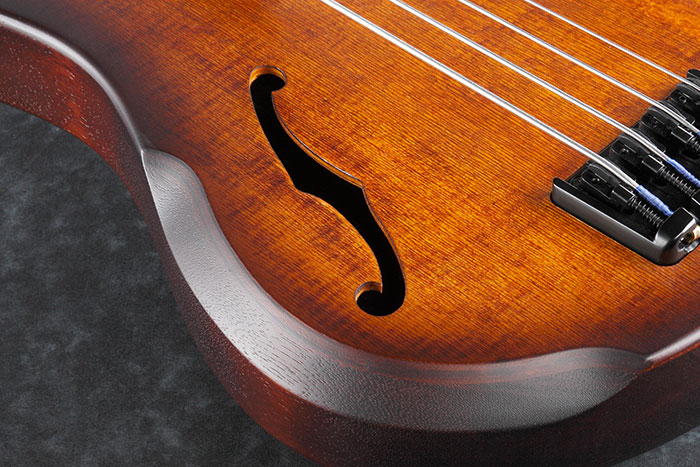 Ibanez Srh500f Nnf Fretless Workshop Epicea Acajou Rw - Natural Browned Burst Flat - Hollow body elektrische bas - Variation 3