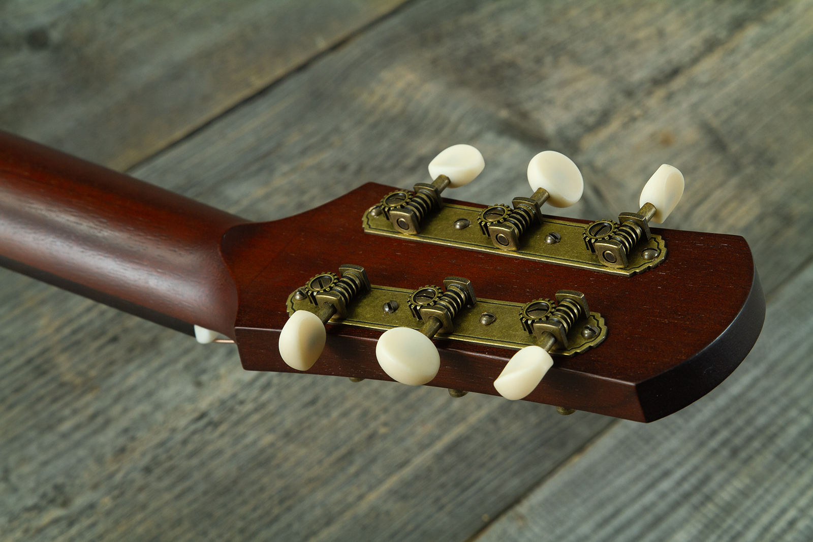 Iris Rcm-ooo 12-fret Epicea Cocobolo Rw #1672 - Relic Natural - Folk gitaar - Variation 10