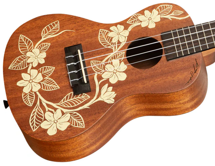 Kala Gardenia Mahogany Concert Ukulele Tout Acajou Rw +housse - Natural Satin - Ukulele - Variation 2