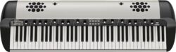 SV-2S 73 (amplified)