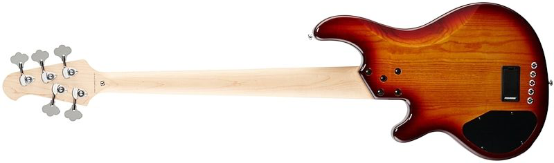 Lakland 55-02 Deluxe Qmt Skyline 5c Active Mn - Honey Burst Gloss - Solid body elektrische bas - Variation 1