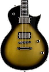 Kenmerkende elektrische gitaar Ltd BK-600 Bill Kelliher Signature - Vintage Silver Sunburst