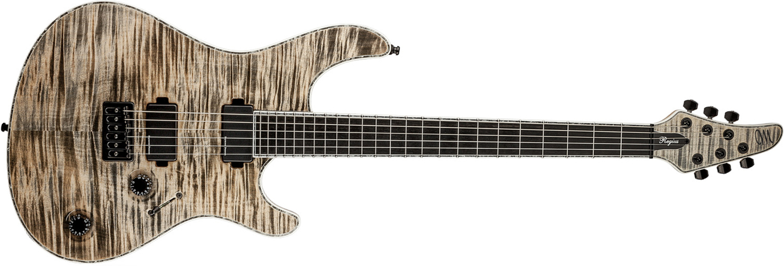 Mayones Guitars Regius 6 Ash 2h Tko Ht Eb - Jeans Black - Metalen elektrische gitaar - Main picture