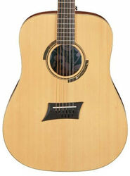 Volksgitaar Michael kelly Triad 10E 10-String - Natural