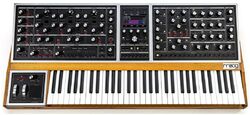 Synthesizer  Moog One 16