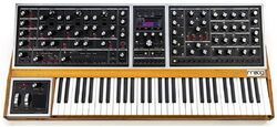 Synthesizer  Moog One 8