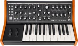 Synthesizer  Moog Subsequent 25