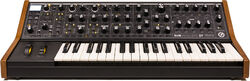 Synthesizer  Moog Subsequent 37