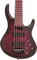 Solid body elektrische bas Mtd Andrew Gouché Kingston KAG5PH 5-String - Ag burst