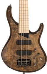 Kingston KZX5MP 5-String - mocha