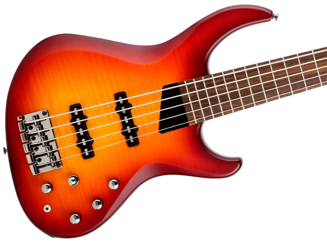 Mtd Saragota Deluxe Ksdx5mn-dcb Kingston 5c Active Lau - Deep Cherry Burst - Solid body elektrische bas - Variation 1