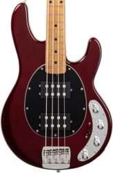 Solid body elektrische bas Music man StingRay Special HH +Gig Bag - Translucent Oxblood