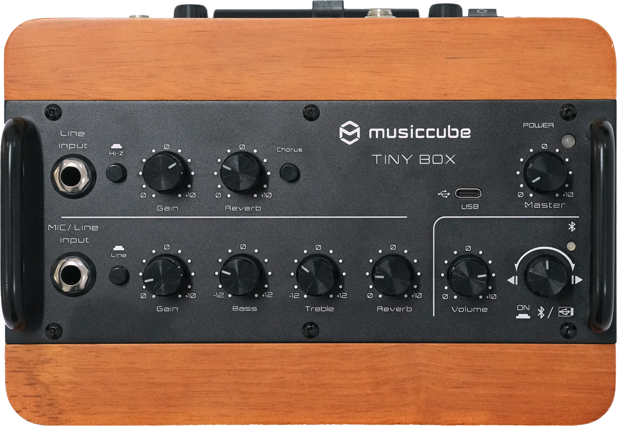 Musiccube Tiny Box D2 Dark Oak Wood - Mobiele PA- systeem - Variation 1