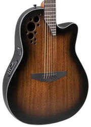 Celebrity Elite Ltd - Australian Blackwood