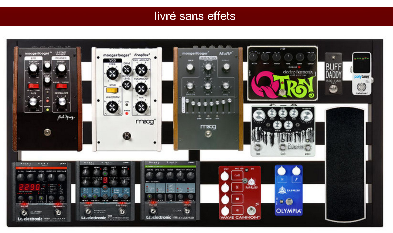 Pedal Train Classic Pro Sc (soft Case) - Pedaalbord - Variation 4