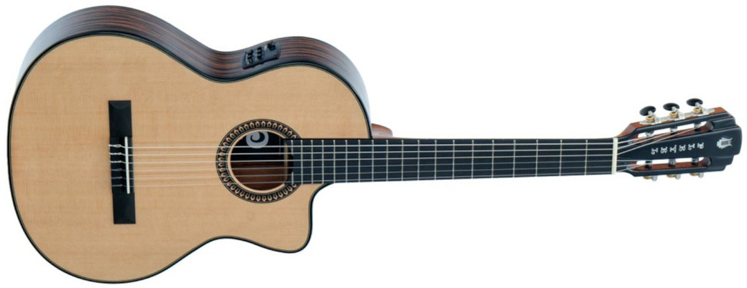 Pleyel Audio P800ce Expression Electro Epicea Ebene Br - Natural - Klassieke gitaar 4/4 - Main picture