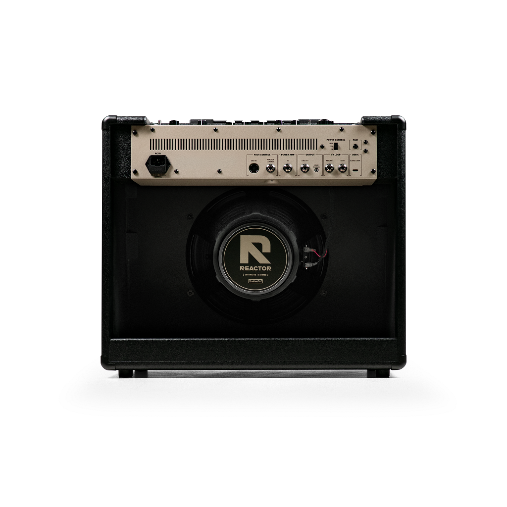 Positive Grid Reactor 100w 1x12 - Combo voor elektrische gitaar - Variation 1