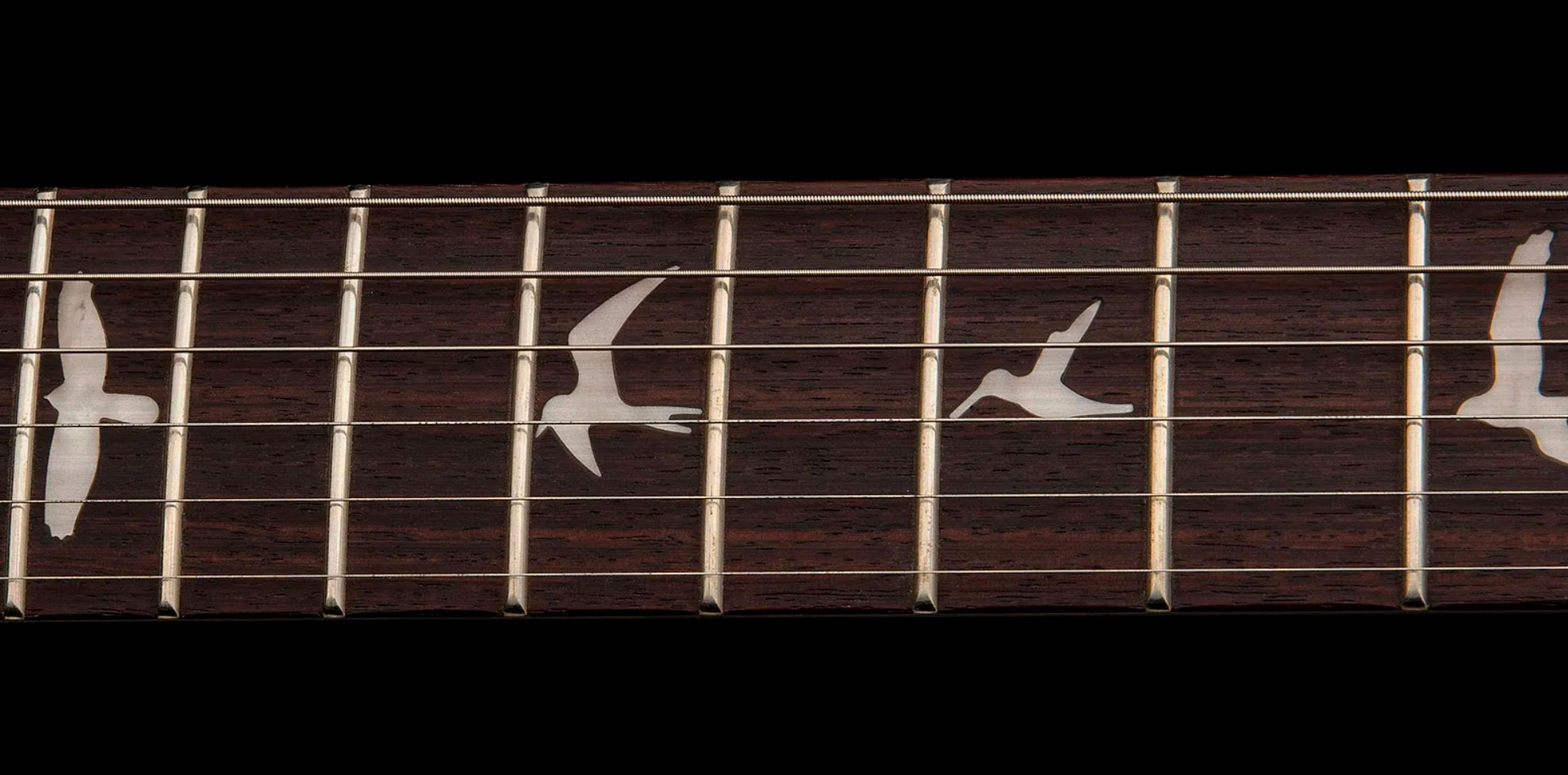 Prs Ce24 Standard Stoptail Satin Se Bolt-on 2h Trem Rw - Metallic Gold - Double cut gitaar - Variation 4