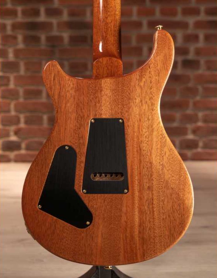 Prs Custom 24-08 10 Top Usa 2h Tci Trem Rw - Carroll Blue - Guitarra eléctrica de doble corte. - Variation 4