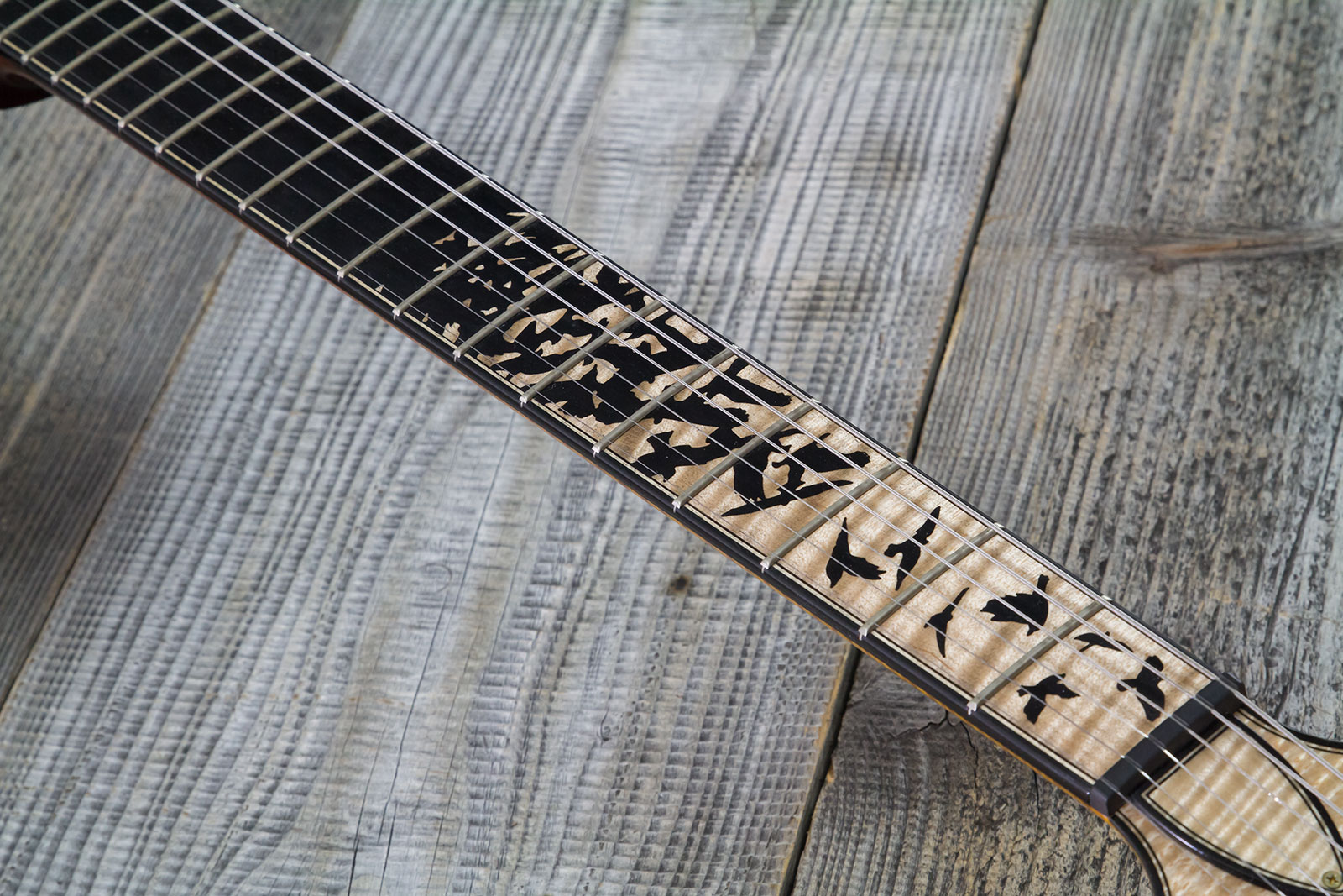 Prs Custom 24-08 Private Stock Hand-signed Usa 2h Trem Rw #0385255 - Mccarty Glow - Double cut gitaar - Variation 5