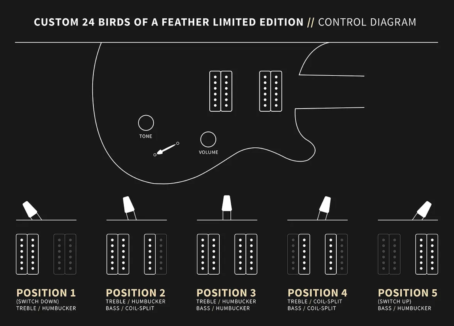 Prs Custom 24 Birds Of A Feather Usa Ltd 2h Trem Eb/mn - Honey Gold - Double cut gitaar - Variation 3