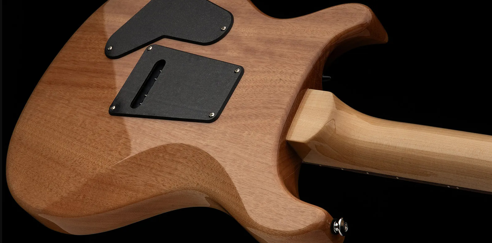 Prs Custom 24 Burled Ash Se Exotic Veneer Trem 2h Rw - Natural - Guitarra eléctrica de doble corte. - Variation 4