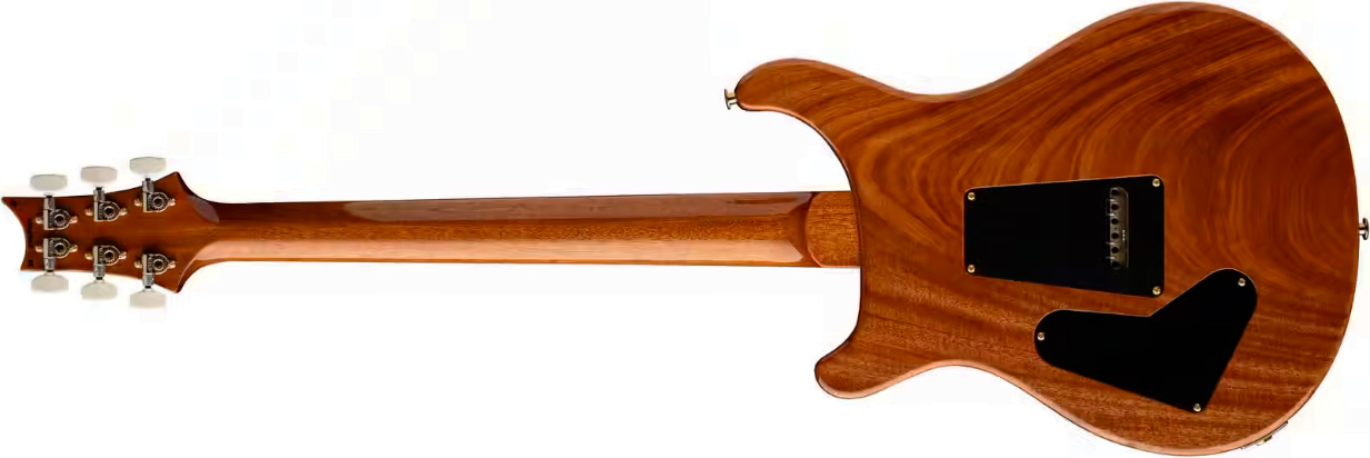 Prs Custom 24 Usa 2h Dmo Trem Rw - Carroll Blue - Double cut gitaar - Variation 1