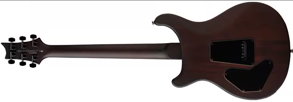 Prs David Grissom Dgt Laurel Burl Se Exotic Veneer Trem 2h Rw - Mccarty Tobacco Burst - Guitarra eléctrica de doble corte. - Variation 1