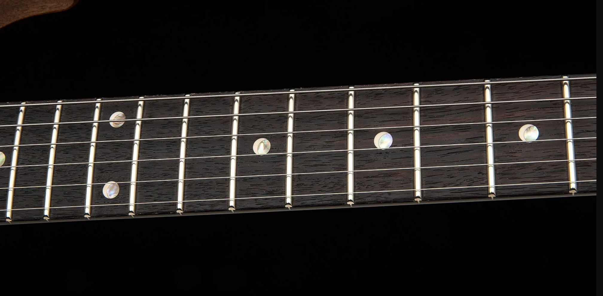 Prs David Grissom Dgt Usa Signature 2h Trem Rw - Tiger Eye - Double cut gitaar - Variation 4