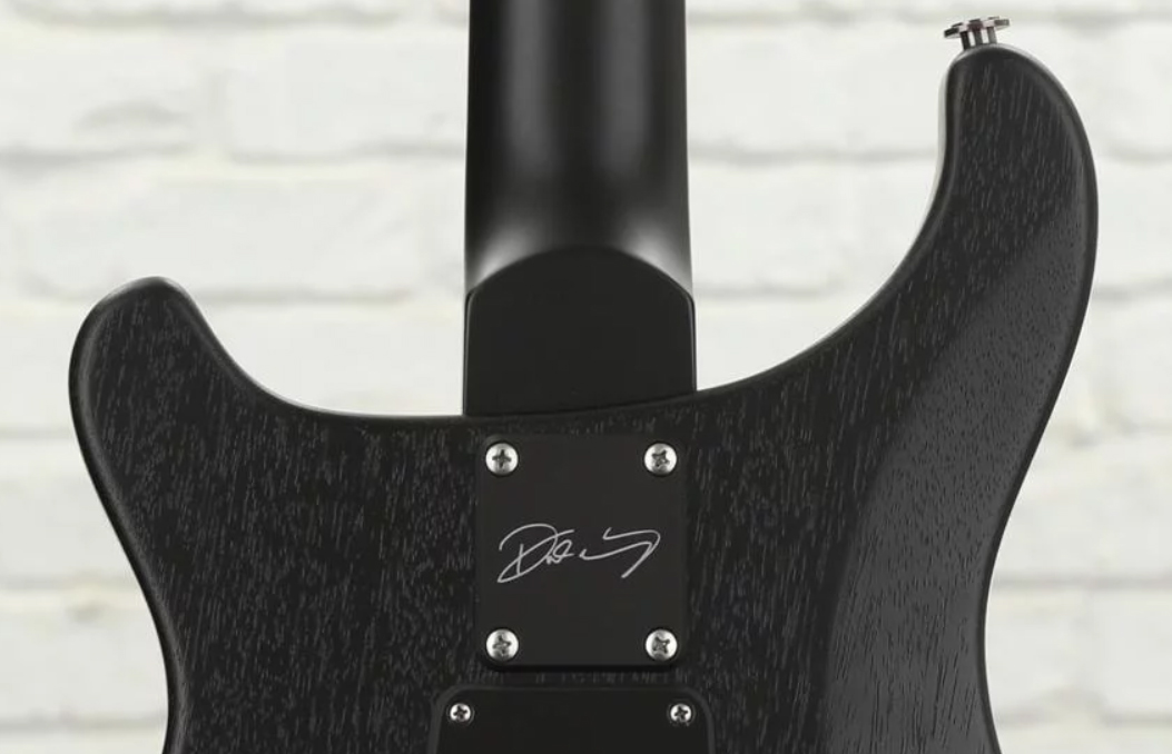 Prs Dustie Waring Dw Ce 24 Floyd Bolt-on Usa Signature 2h Fr Mn - Gray Black - Guitarra eléctrica de doble corte. - Variation 4