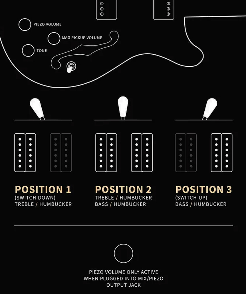 Prs Hollowbody Ii Piezo Se (wing Tuners) 2h Ht Eb - Vintage Sunburst - Semi hollow elektriche gitaar - Variation 4