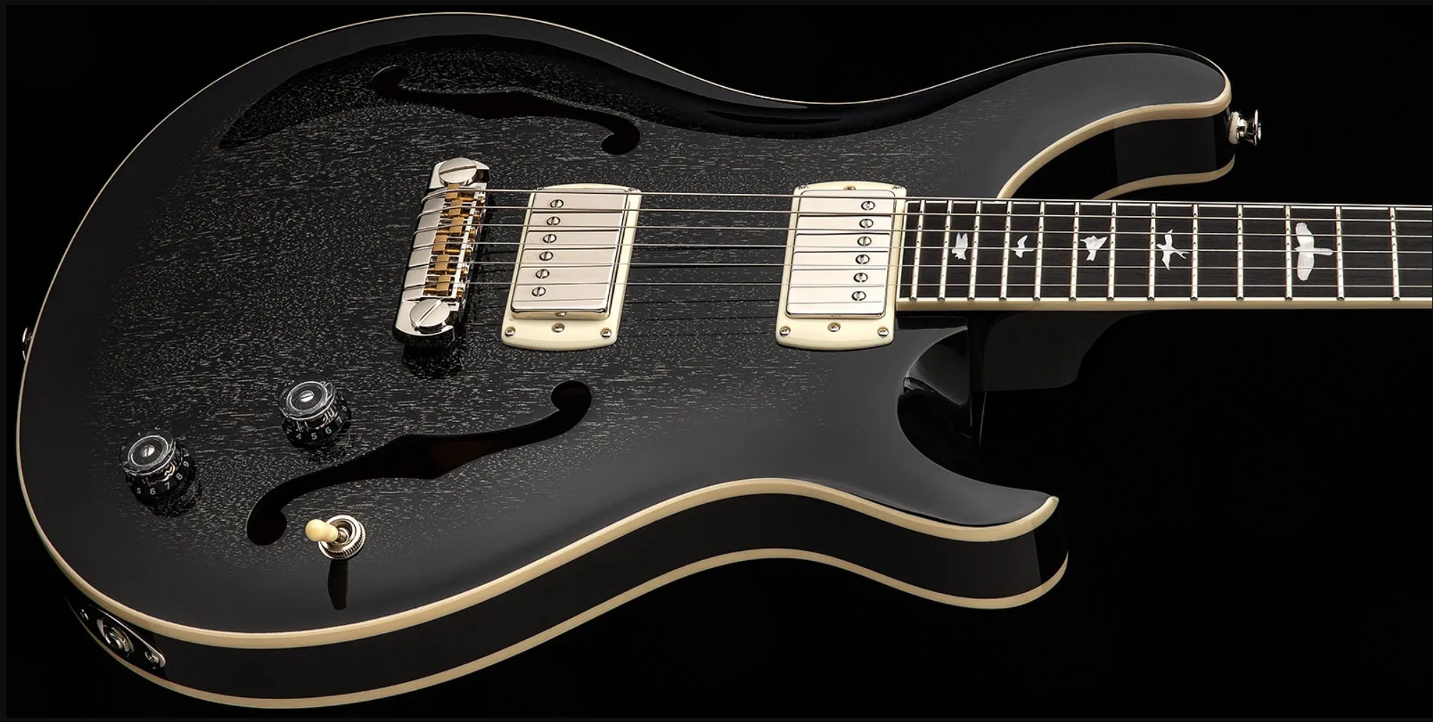 Prs Hollowbody Standard Se 2h Ht Eb - Dog Hair Smokeburst - Semi hollow elektriche gitaar - Variation 3