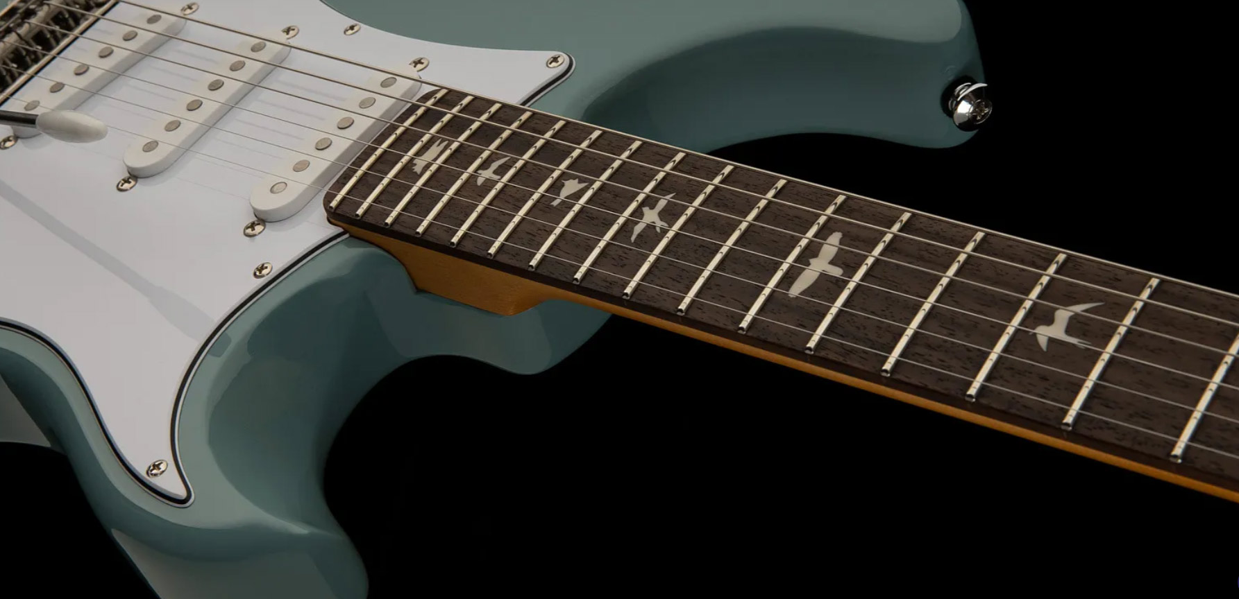 Prs John Mayer Se Silver Sky Rosewood Signature 3s Trem Rw - Storm Gray - Elektrische gitaar in Str-vorm - Variation 1