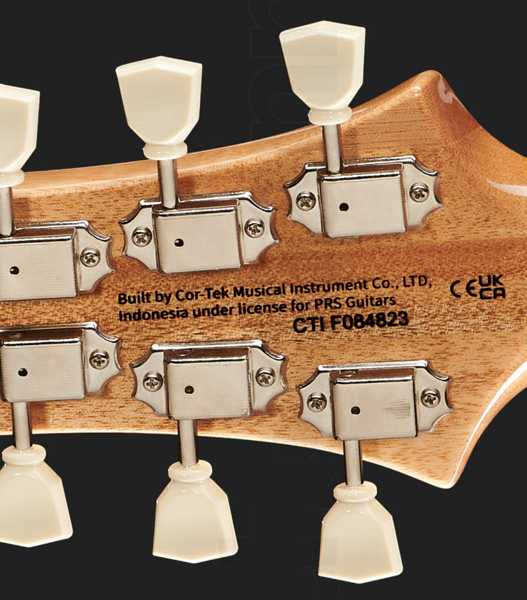 Prs Mccarty 594 Se 2h Ht Rw - Charcoal - Guitarra eléctrica de doble corte. - Variation 7