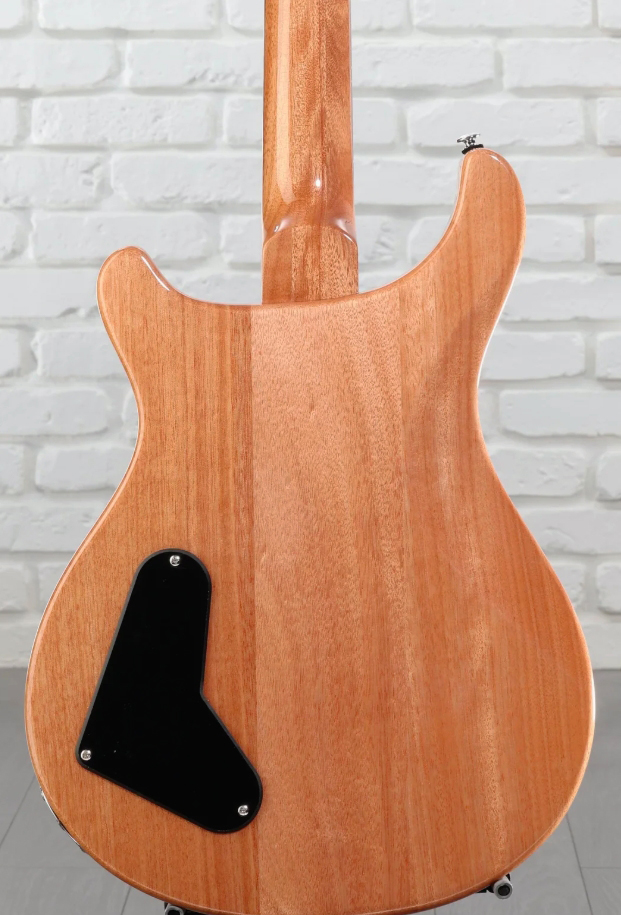 Prs Paul's Guitar Se (wing Tuners) 2h Ht Rw - Slate Blue - Double cut gitaar - Variation 5