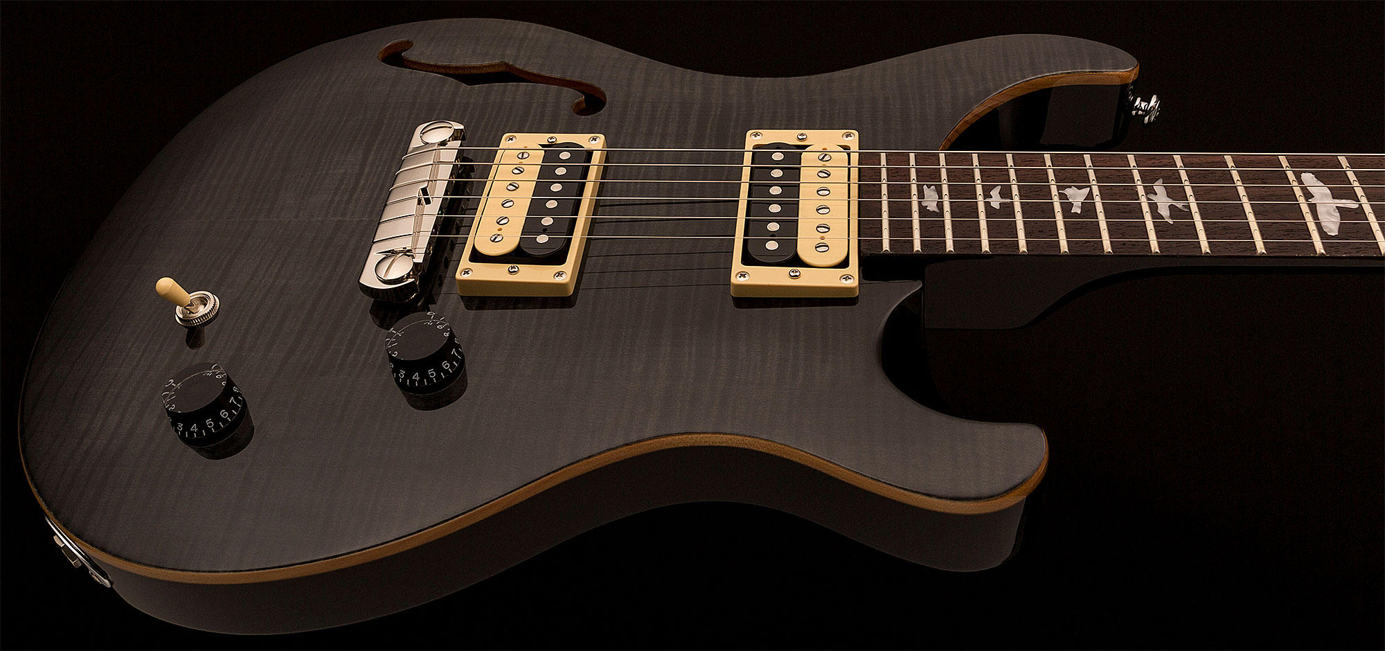 Prs Se Custom 22 Semi-hollow 2017 Hh Ht Rw - Gray Black - Semi hollow elektriche gitaar - Variation 3