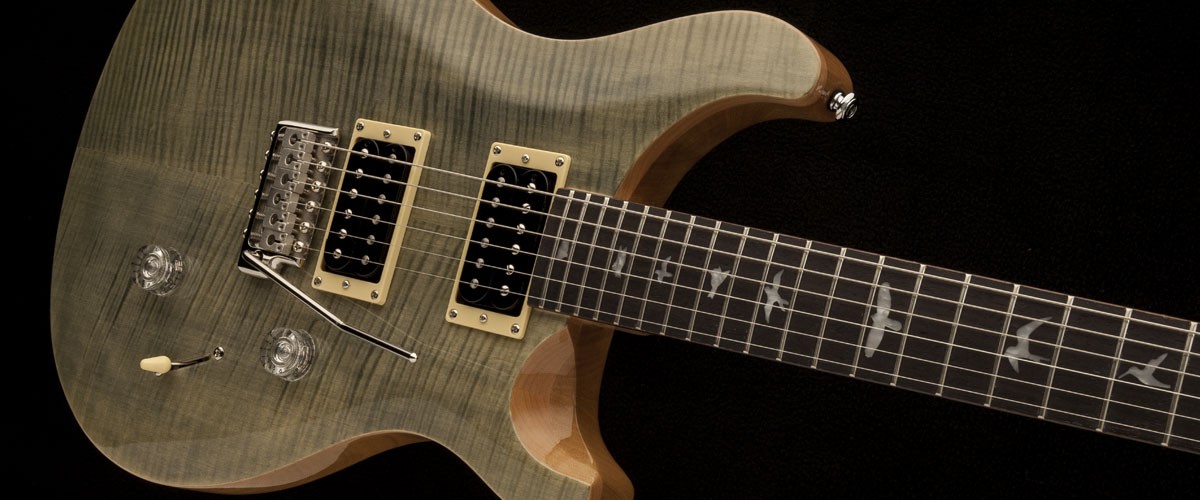 Prs Se Custom 24 2018 Hh Trem Rw - Trampas Green - Guitarra eléctrica de doble corte. - Variation 2