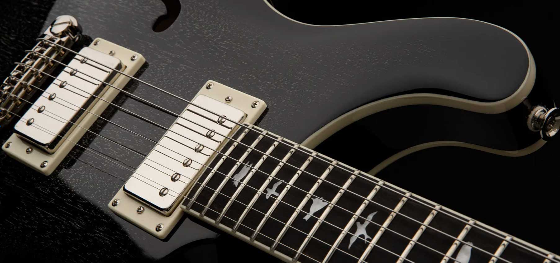 Prs Se Hollowbody Standard Piezo 2h Ht Eb - Dog Hair Smokeburst - Semi hollow elektriche gitaar - Variation 2