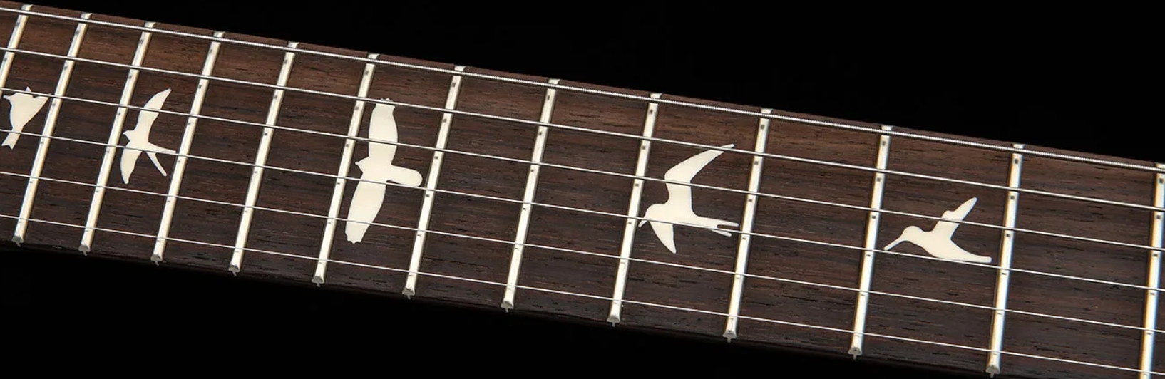 Prs Standard 22 S2 Usa 2h Trem Rw - Platinum Metallic - Double cut gitaar - Variation 3