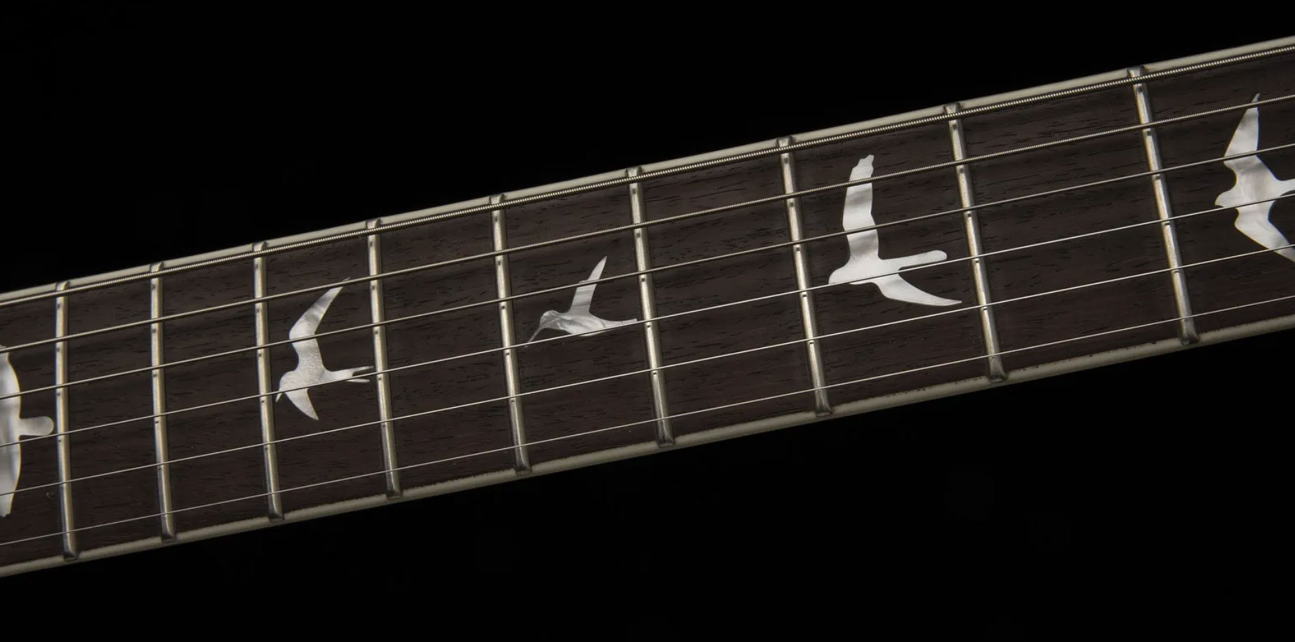 Prs Zach Myers Se Signature 2h Ht Rw - Myers Blue - Single cut gitaar - Variation 2