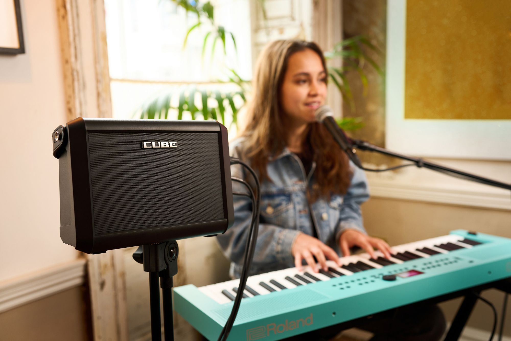 Roland Cube Street Mini Multi-instrument Battery Amplifier - Mobiele PA- systeem - Variation 4