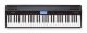 GO:Piano 61P