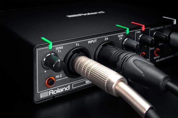 Usb audio-interface Roland Rubix 22