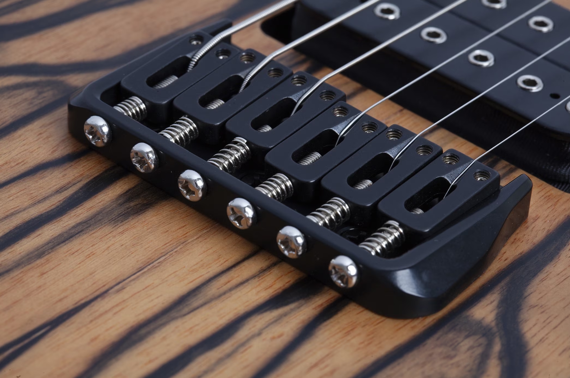 Schecter C1 Pale Moon 2h Ht Ric - Natural Satin Black Burst - Elektrische gitaar in Strat vorm - Variation 4