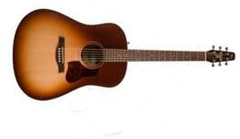 Seagull Entourage Dreadnought Epicea Merisier +housse - Autumn Burst - Volksgitaar - Main picture